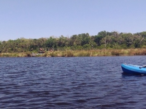paddling Bulow Creek, kayak, canoe