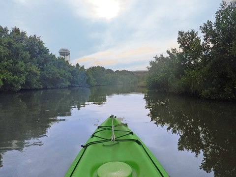 paddling Cedar Key, kayak, canoe
