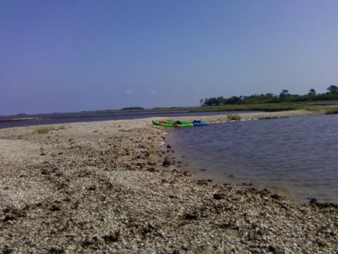 paddling Cedar Key, kayak, canoe