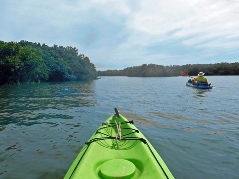 paddling Cedar Key, kayak, canoe, Atsena Otie