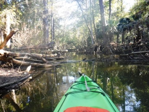 paddling Potano Paddling Trail, Prairie Creek, kayak, canoe