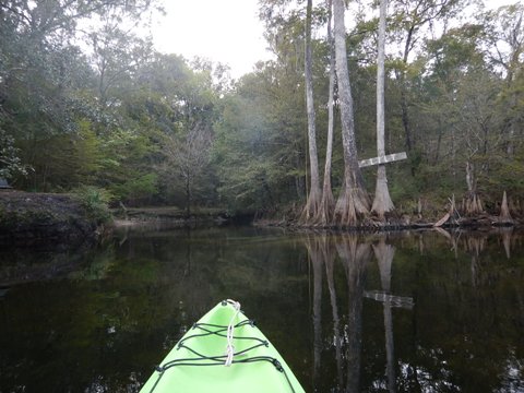 paddling Santa Fe River, Poe to Rum, kayak, canoe