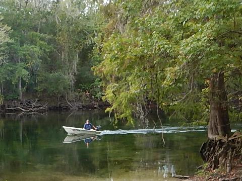 paddling Santa Fe River, Hollingsworth Bluff, kayak, canoe