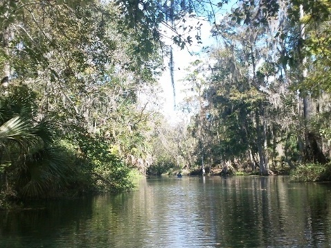 paddling Silver River, Fort King Waterway