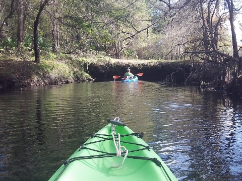 paddling Steinhatchee River
