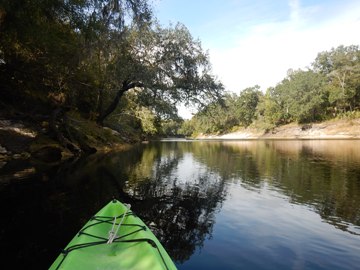 paddle Suwannee River, kayak, canoe