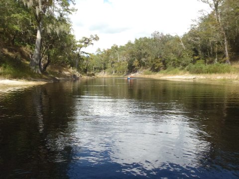 paddling Suwannee River, Wayside Park