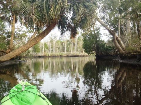 Waccasassa River, North Florida