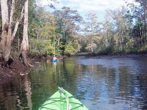 paddle Wekiva River, Levy County FL