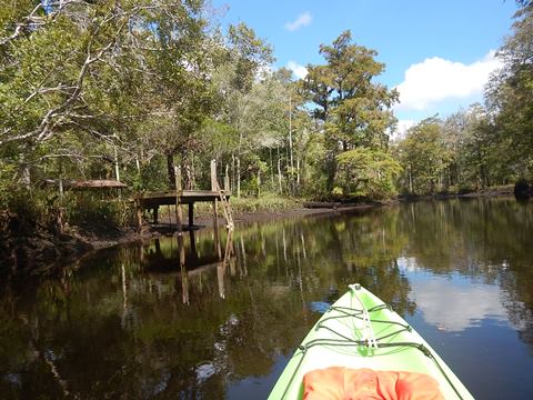 paddling Wekiva River, Levy County, kayak, canoe