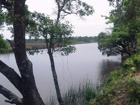 paddling, Apalachicola River WEA, Whiskey George