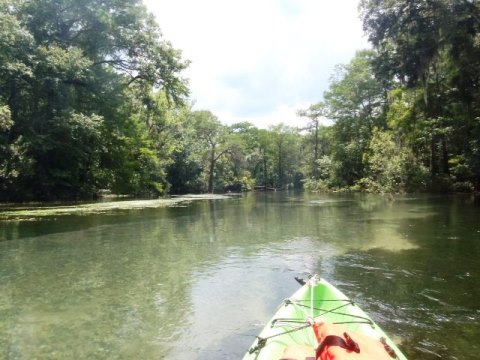 Florida Panhandle, Chipola River, Spring Creek