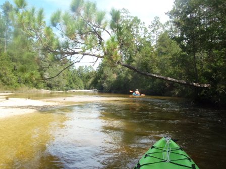 Coldwater Creek, FL Panhandle paddling