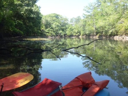 Paddle Florida Panhandle, Holmes Creek, Kayak, Canoe