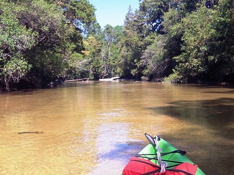 paddling Juniper Creek, Panhandle