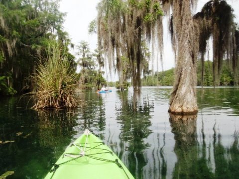 Florida Panhandle, Merritt's Mill Pond, paddle, kayak