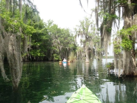 Paddle Florida Panhandle, Merritt's Mill Pond - Kayak, Canoe