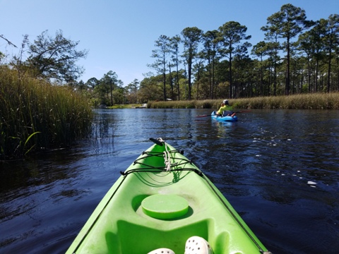 Ochlockonee River, FL Panhandle paddling