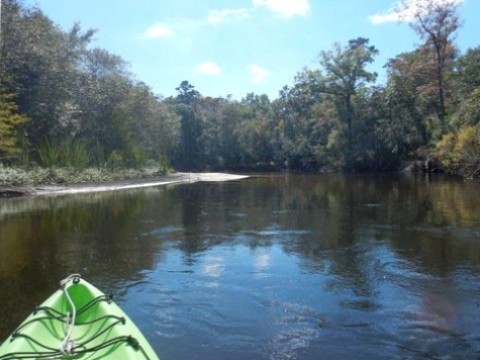 Paddle Florida Panhandle, Shoal River, Kayak, Canoe