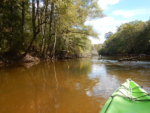 Florida Panhandle, Shoal River Paddling Trail