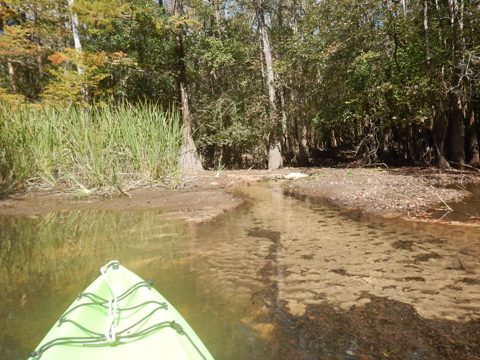 Florida Panhandle, Shoal River Paddling Trail