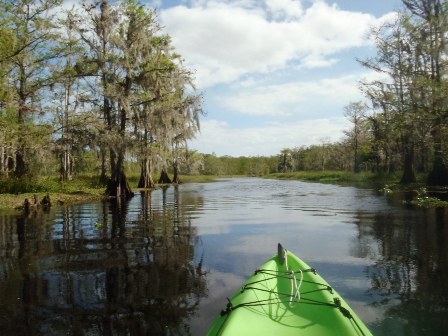 Fisheating Creek, South FL paddling