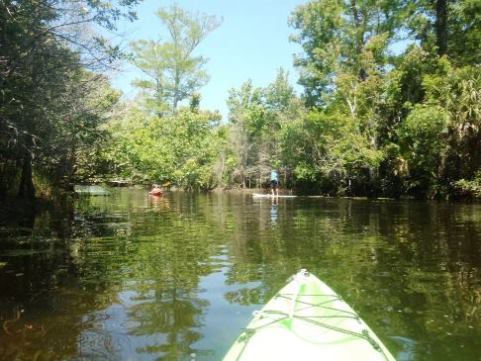 Paddle Loxahatchee River, Kayak, Canoe