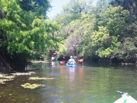 Paddling Loxahatchee River, Riverbend Park, kayak, canoe