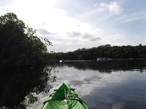 Paddling Loxahatchee River, Jonathan Dickinson SP, kayak, canoe