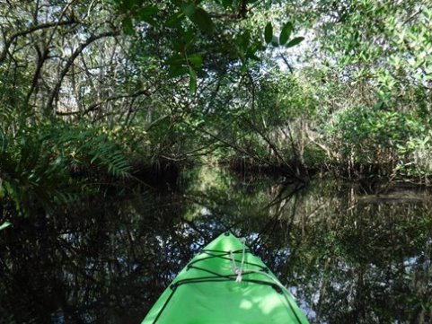 Paddling Loxahatchee, Kitching Creek, kayak, canoe
