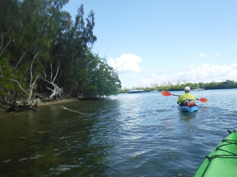 paddle Oleta River, south Florida