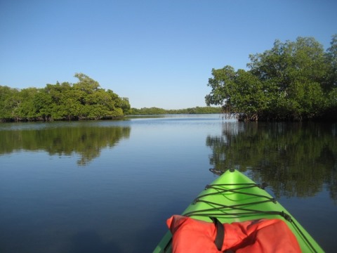 Rookery Bay, South FL paddling