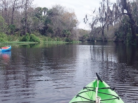 Shell Creek, South FL paddling